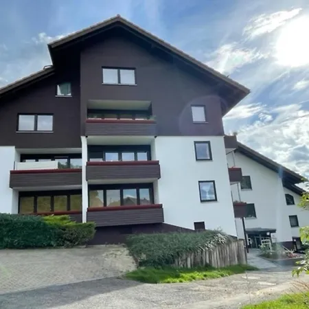 Paradiso Mit Schwimmbad Pool Bad Lauterberg